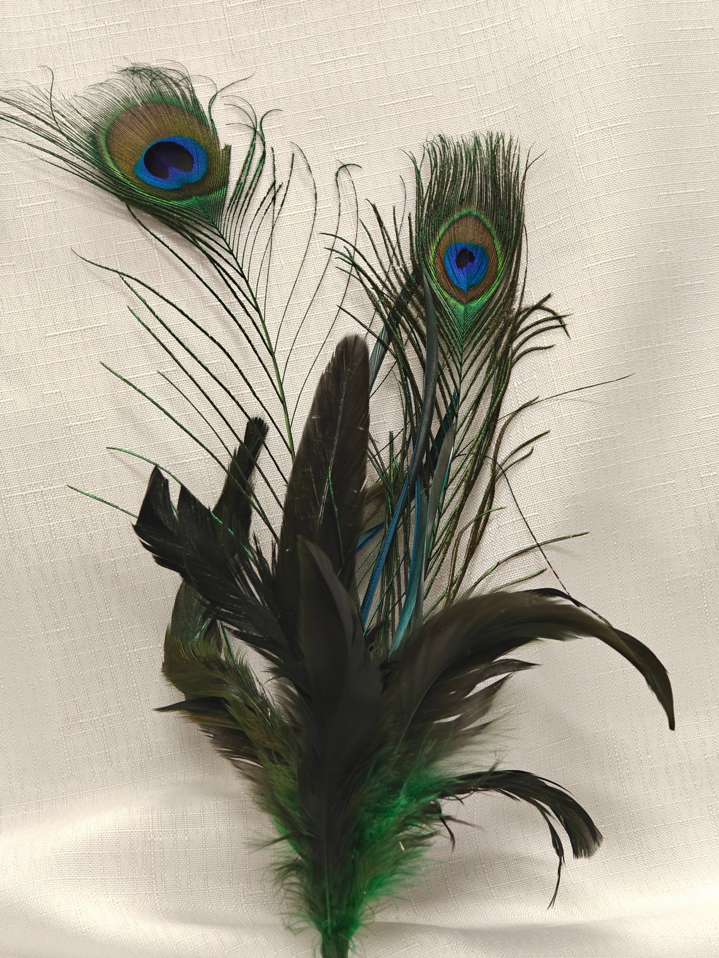Regal Plume Peacock Ensemble