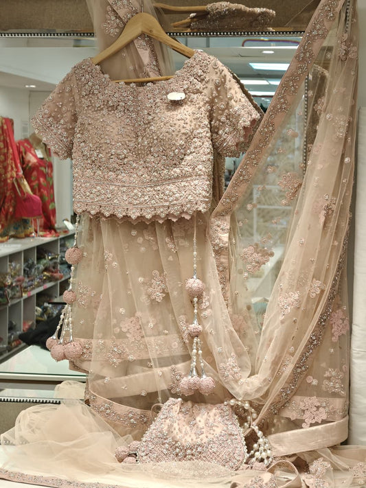 Blush Embroidered Saree Set