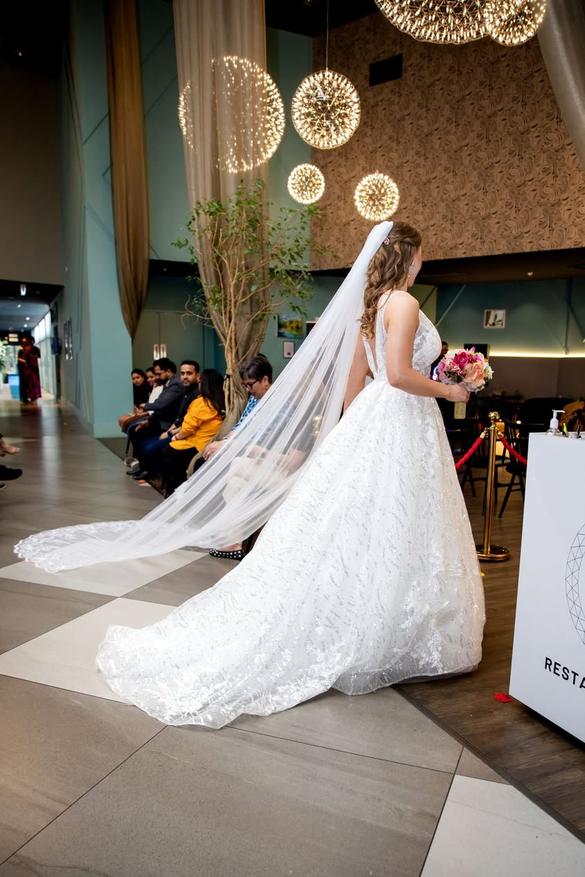 Celestial Elegance Bridal Gown