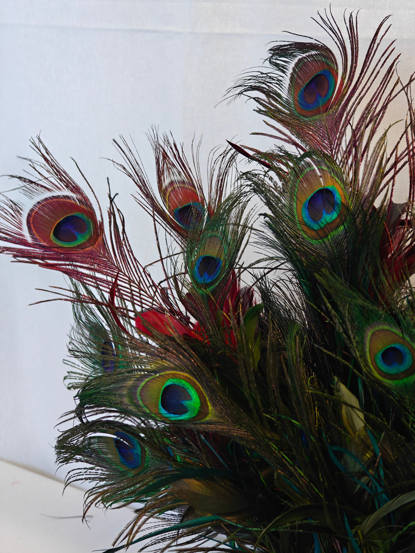 Regal Peacock Vase Display