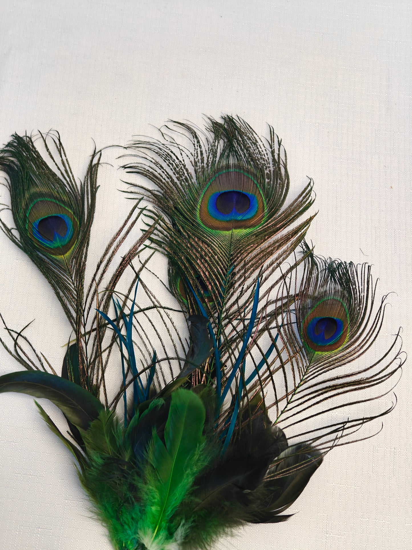 Regal Peacock Vase Display