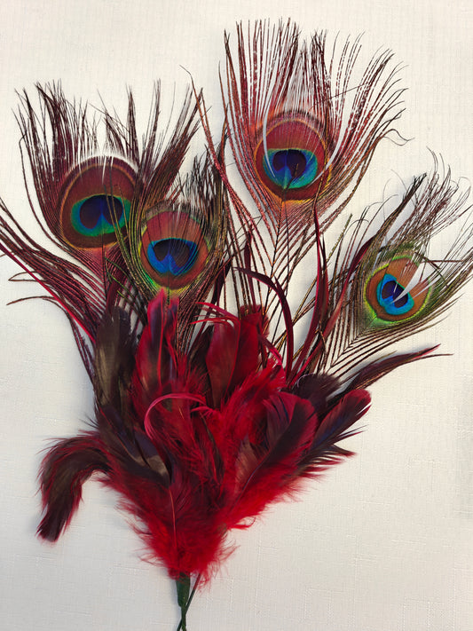 Peacock Flame Feather Fusion