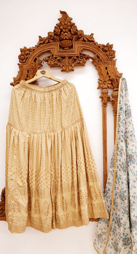 Printed Full Flair Sharara